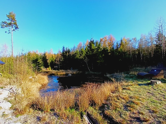 Teich mit hellblauem Himmel